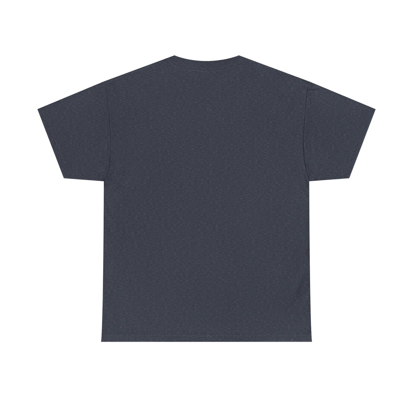 Funny Dog Lover Insult Tee - You Look Like A “Before” Picture